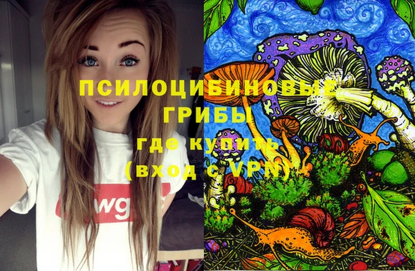 ALPHA-PVP Белокуриха